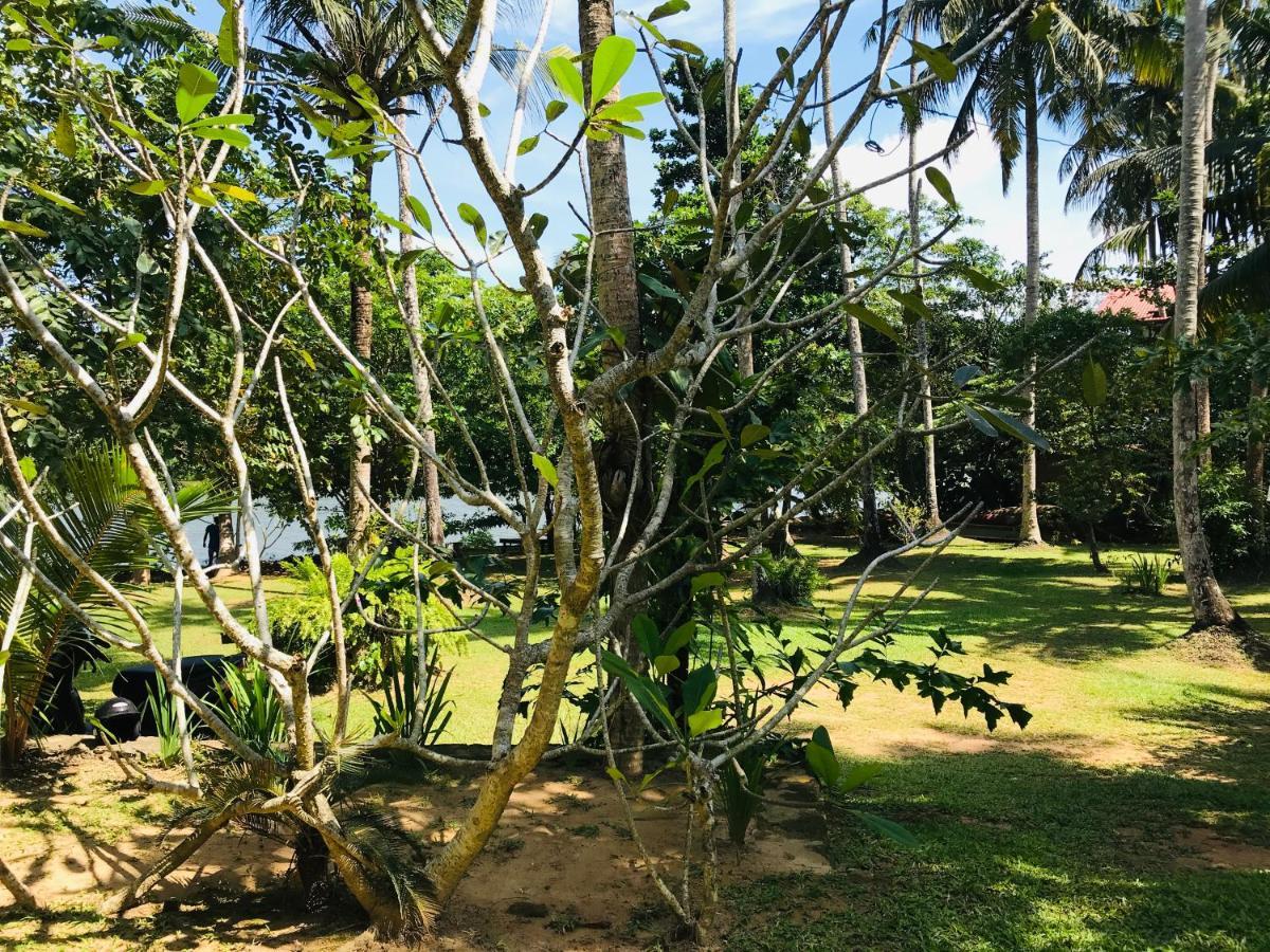 O2 Villas - Weligama Exteriér fotografie