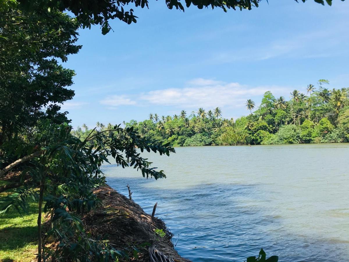 O2 Villas - Weligama Exteriér fotografie